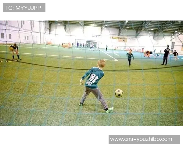 冰岛足球实力分析及其在国际赛事中的表现与发展潜力探讨